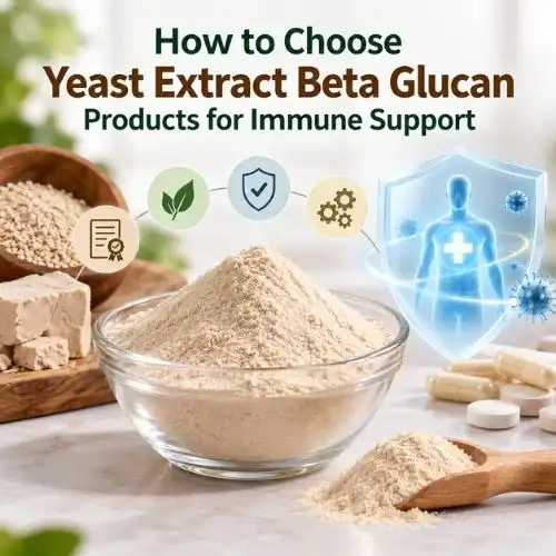 How to Choose Yeast Extract Beta Glucan Products for Immune Support